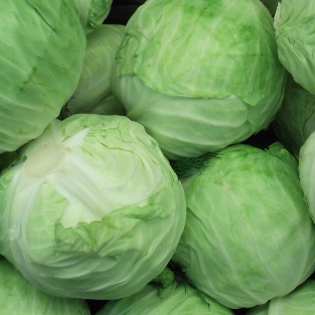 Cabbage - Image 2