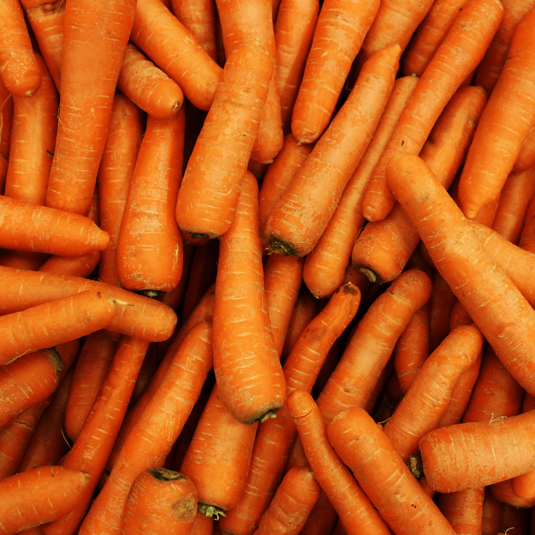 Carrots 1